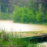 _DSC6387_original-Edit-2